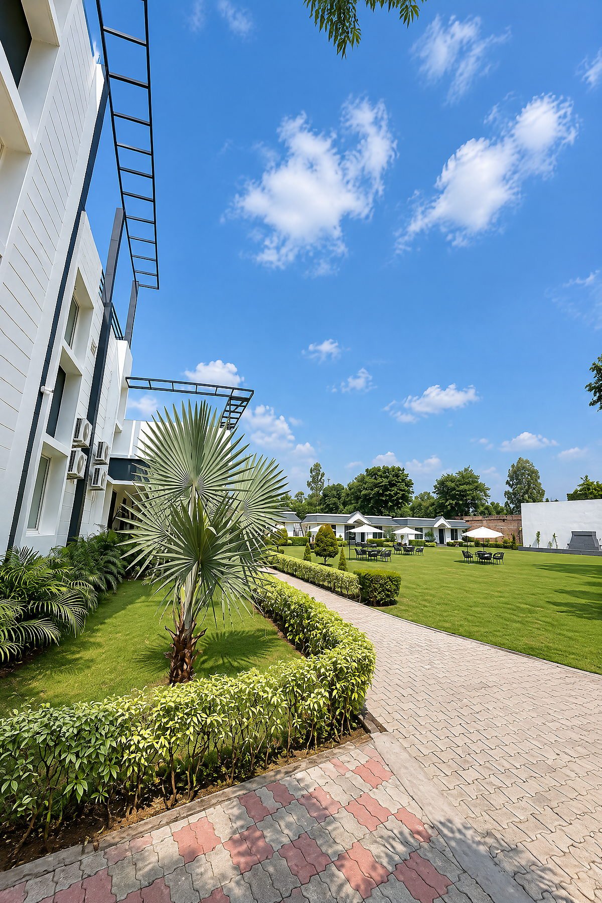 Garden walkway lined with palms and hedges at The White House Pilibhit